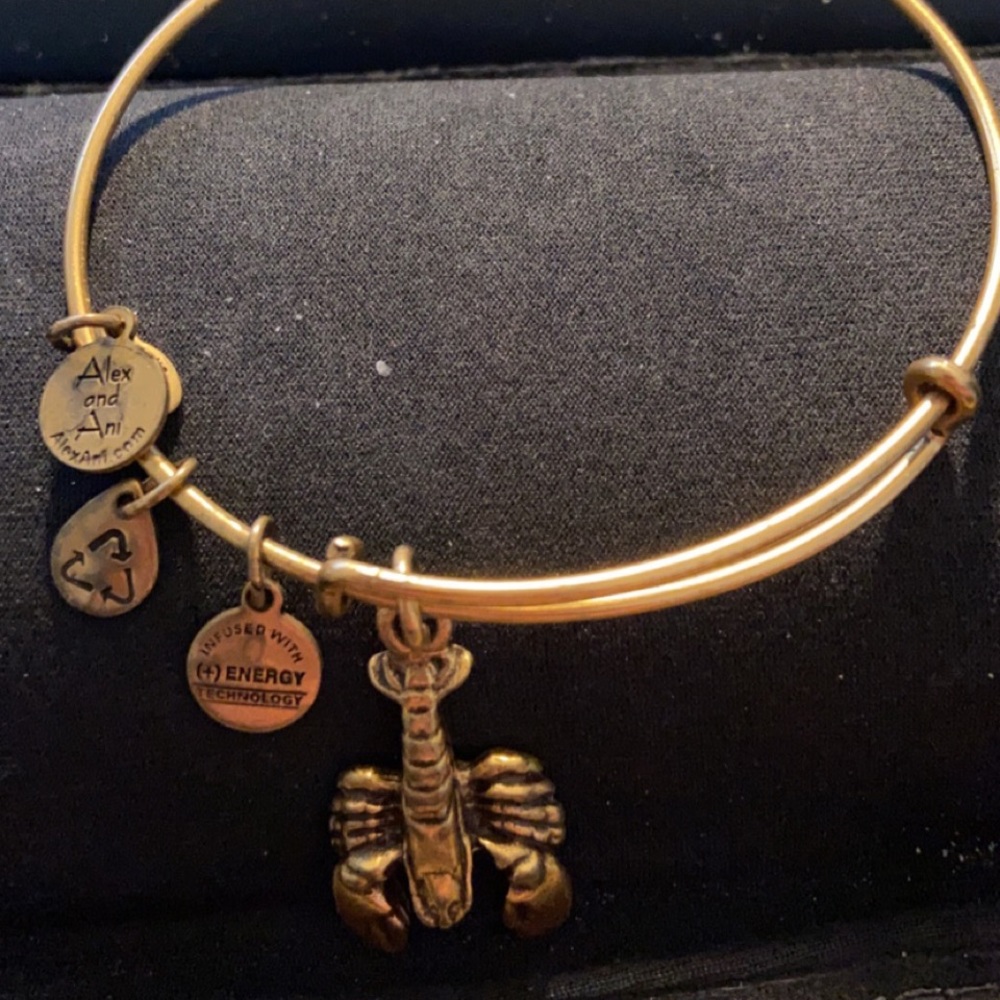 Alex and Ani Boston Themed Bracelets